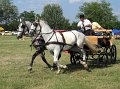 IMG_4656