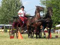 IMG_4692