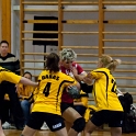 CRW_7206