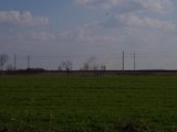 PETI1996