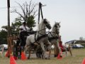 DSC07299