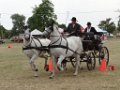 DSC07485