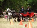 DSC07519