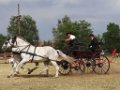 DSC07860