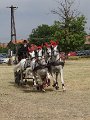 DSC07883