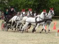 DSC07904