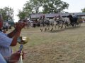 DSC08066