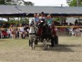 DSC08086