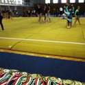 POLY1008