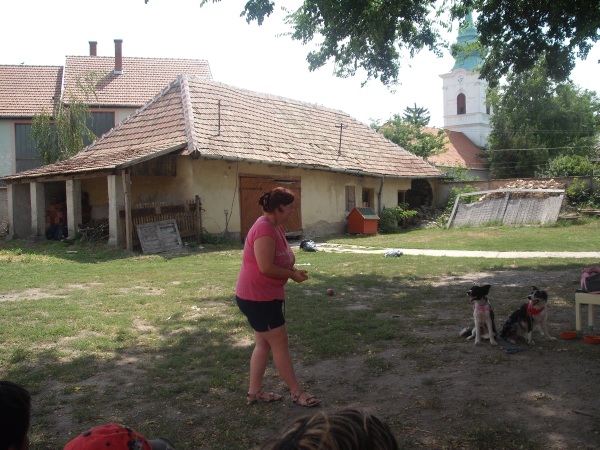 050.jpg