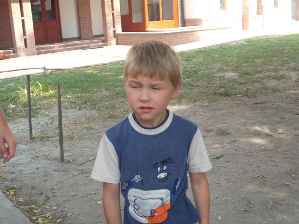 228.jpg