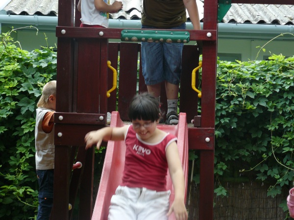 335.jpg