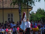 PETI5246