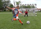 DSC03136