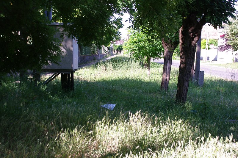 IMGP6539.JPG