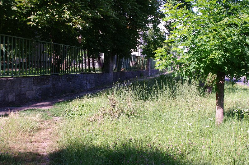 IMGP6545.JPG