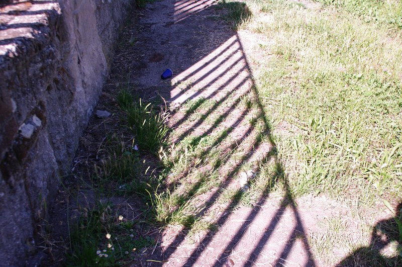 IMGP6552.JPG