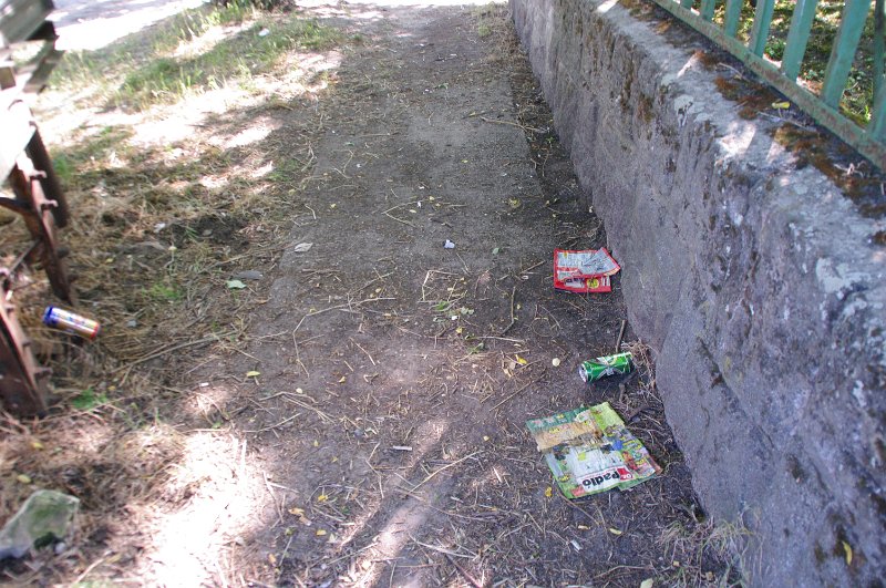 IMGP6554.JPG