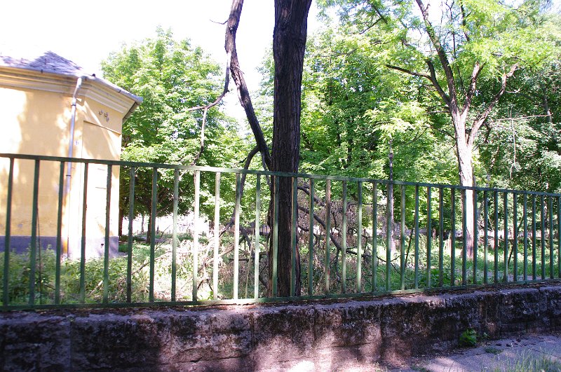 IMGP6561.JPG