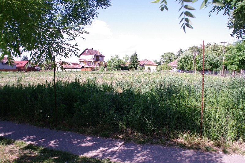 IMGP6578.JPG