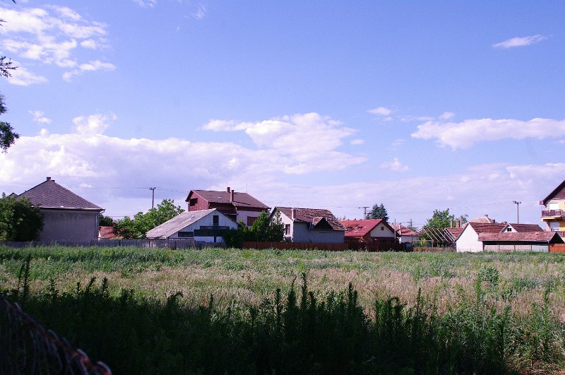 IMGP6586.JPG