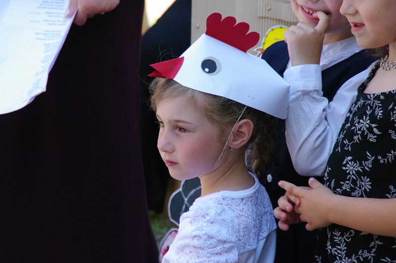 IMGP3258.JPG